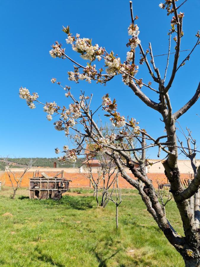 Casa Rural Las Águedas Affittacamere Murias de Rechivaldo Esterno foto